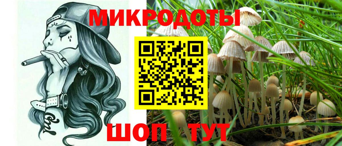 Галлюциногенные грибы мицелий  Вход с VPN  где продают наркотики  Вятские Поляны 