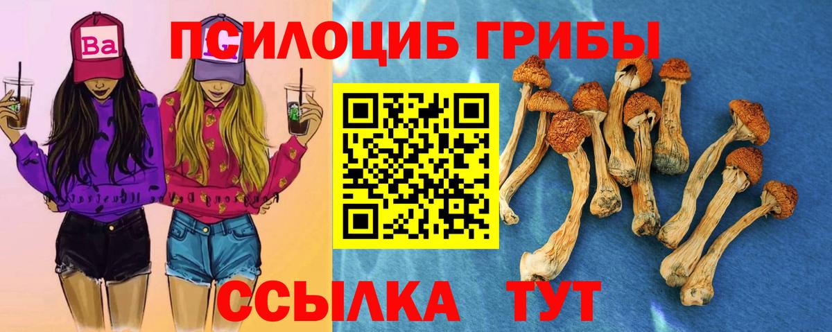 Галлюциногенные грибы Cubensis Вятские Поляны